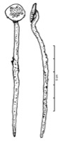 Le Rouret , Camp du Bois (06), -625/-550