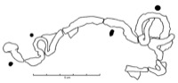 Mailhac, Grand Bassin I (11), tombe 175, -700/-600