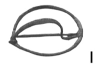Couffoulens, Las Peyros 2 (11), tombe 73, -520/-480