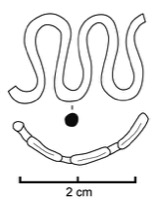 Type gnrique (Kaenel 1990, pl.31, T16, n1)