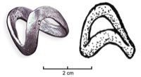 Les Pennes-Mirabeau, La Cloche (13), -300/-200
