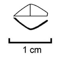 Nissan, Ensrune (34), tombe 105, -425/-400