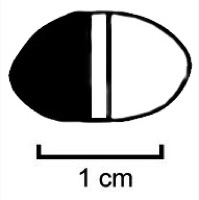 Mailhac, Le Cayla (11), F36, n.II, -600/-475