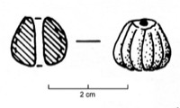 Saint-Bonnet-du-Gard, Le Marduel (30), -450/-440