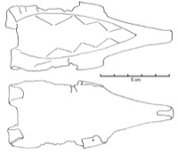 Claviers, Grotte de la Lioure (83), -600/-450