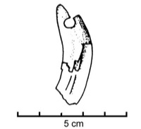 Cazevieille (34), tumulus D9, -650/-550