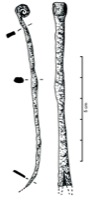 Calvisson, La Liquire (30), -600/-575