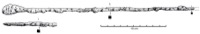 Nages-et-Solorgues, Les Castels (30), Us 8707, -175/-150