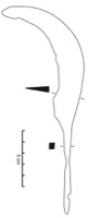 Aix-en-Provence, Entremont (13), -200/-90