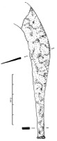Calvisson, La Liquire (30), L11C, c.8, -575/-500