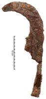Nages-et-Solorgues, Les Castels (30), zone C, -25/-1