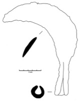 Mailhac, Le Cayla (11), F27, n.IV, --325/-75