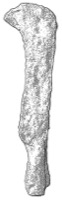 Les Pennes-Mirabeau, Teste-Ngre (13), -300/-200