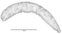 Mailhac, Le Cayla (11), fouille 47, -425/-400