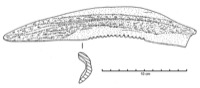Sigean, Pech-Maho (11), zone 19, Us 19001, -250/-200