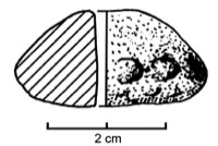 1: Nages-et-Solorgues, Les Castels (30), Refend Sud, c.4, -300/-250 (Py 1978, p.297, fig.140, n1)