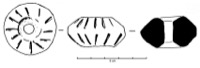 Labruguire, Le Causse (81), tombe 550, -675/-575