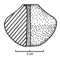 Lansargues, La Rallongue (34), -600/-550
