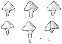 Nages-et-Solorgues, Les Castels (30), L17, c.2, -75/-25