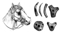 Le bel Age du Bronze en Hongrie, 1994, p.75