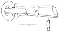 Nissan, Ensrune (34), tombe 14, -325/-275
