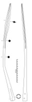Aups, Aven Plrimond (83), -625/-550