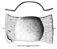 Nmes, Kinpolis (30), tombe SP6022, -125/-100