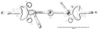 Type gnrique (Dnsberg, Allemagne, Schlott 1999, pl. 15, 9)