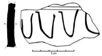 Gaujac, Saint-Vincent (30), -425/-375