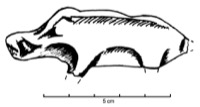 Gaujac, Saint-Vincent (30), -425/-375, sanglier