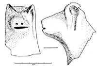 Nmes, Canteduc (30), -250/-100
