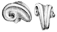 Le Pgue, cole (26), -400/-300