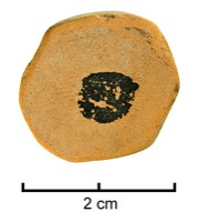Nages-et-Solorgues, Les Castels (30), H4, c.1B, -75/-50
