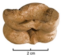 Nages-et-Solorgues, Les Castels (30), J2, c.3, -150/-100