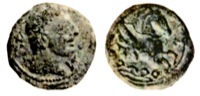 IBL-185
