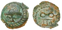 IBL-187_4