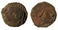 IBL-195