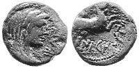 IBL-2483_3